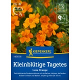 Kiepenkerl Kleinbl&uuml;tige Tagetes Luna Orange