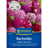 Kiepenkerl Bartnelke Duplika&reg; Mischung