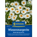 Kiepenkerl Wiesenmargerite - 1 Pkg