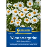 Kiepenkerl Wiesenmargerite