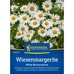 Kiepenkerl Wiesenmargerite - 1 Pkg