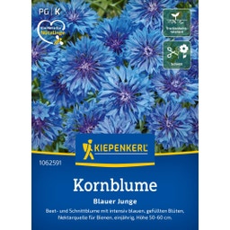 Kiepenkerl Kornblume Blauer Junge - 1 Pkg