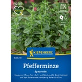 Kiepenkerl Pfefferminze Spearmint