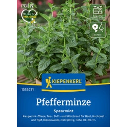 Kiepenkerl Pfefferminze Spearmint - 1 Pkg