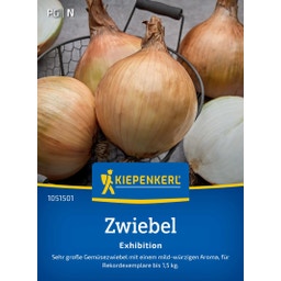 Kiepenkerl Zwiebel Exhibition - 1 Pkg