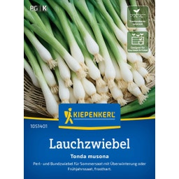 Kiepenkerl Lauchzwiebel Tonda Musona - 1 Pkg