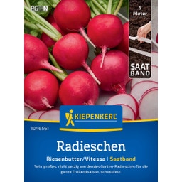Radieschen Riesenbutter/Vitessa - Saatband - 1 Pkg