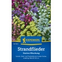 Kiepenkerl Strandflieder Statice Mischung - 1 Pkg