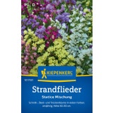 Kiepenkerl Strandflieder Statice Mischung