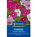 Kiepenkerl Cosmos Sensation Mischung - 1 Pkg
