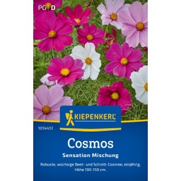 Kiepenkerl Cosmos Sensation Mischung - 1 Pkg