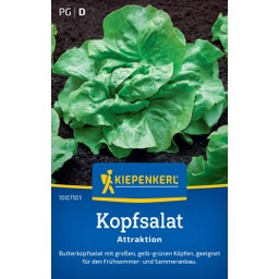 Kiepenkerl Kopfsalat Attraktion - 1 Pkg