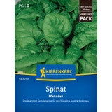 Kiepenkerl Spinach Matador, Economy Pack