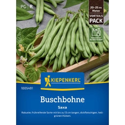 Kiepenkerl Buschbohne Saxa, Vorteilspackung - 1 Pkg