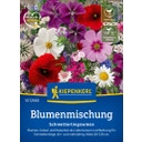 Kiepenkerl Blumenmischung Schmetterlingswiese - 1 Pkg