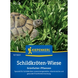 Kiepenkerl Schildkrötenmischung Grünfutter-Pflanzen - 1 Pkg