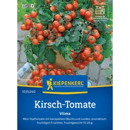 Kiepenkerl Kirsch-Tomate Vilma - 1 Pkg