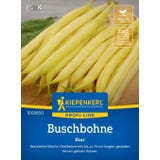 Kiepenkerl Buschbohne Dior
