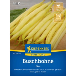 Kiepenkerl Buschbohne Dior - 1 Pkg
