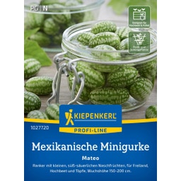 Kiepenkerl Mexikanische Minigurke Mateo - 1 Pkg