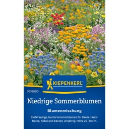 Kiepenkerl Blumenmischung Niedrige Sommerblumen - 1 Pkg