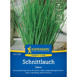 Kiepenkerl Schnittlauch Staro - 1 Pkg