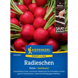 Kiepenkerl Radieschen Ester, Saatband - 1 Pkg