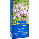 Kiepenkerl Phacelia - 160 g