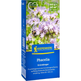 Kiepenkerl Phacelia