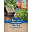 Kiepenkerl BIO Keimsprossen Weizen - 1 Pkg