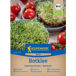 Kiepenkerl BIO Keimsprossen Rotklee - 1 Pkg