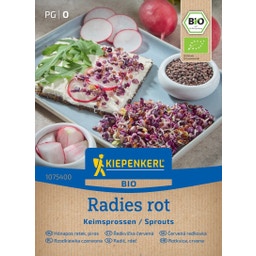 Kiepenkerl BIO Keimsprossen Radies rot - 1 Pkg