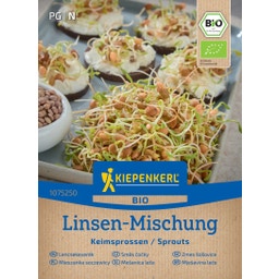 Kiepenkerl BIO Keimsprossen Linsen Mischung - 1 Pkg