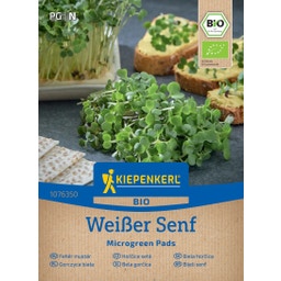 Kiepenkerl BIO Microgreen Garden Pads Weißer Senf - 1 Pkg