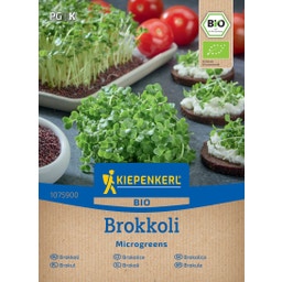 Kiepenkerl BIO Microgreens Brokkoli - 1 Pkg