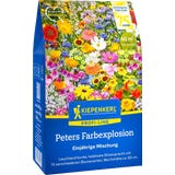 Kiepenkerl Mixed Flowers "Peters Farbexplosion"