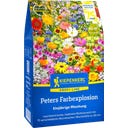 Kiepenkerl Mezcla de Flores Peters Farbexplosion - 40 g