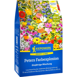 Kiepenkerl Blumenmischung Peters Farbexplosion - 1 Pkg