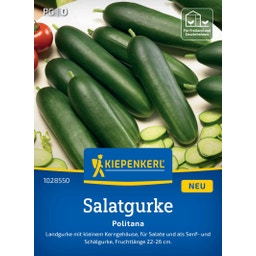 Kiepenkerl Salatgurke Politana - 1 Pkg