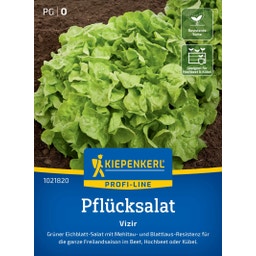 Kiepenkerl Pflücksalat Vizir - 1 Pkg