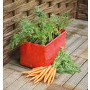 Haxnicks Carrot Patio Planter - Set - 2 pz.
