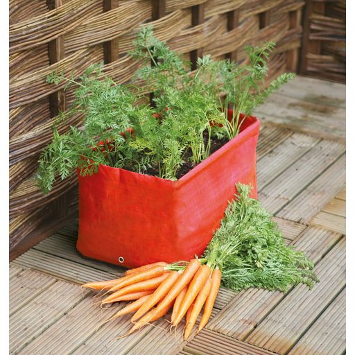 Haxnicks Carrot Patio Planter - Set - 2 pz.