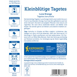 Kiepenkerl Kleinblütige Tagetes Luna Orange