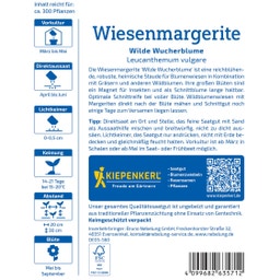 Kiepenkerl Wiesenmargerite