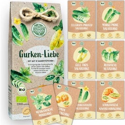 LOVEPLANTS Bio Gurken-Liebe Set - 1 Set