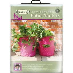 Haxnicks Strawberry and Herb Patio Planters - Set - 2 pz.