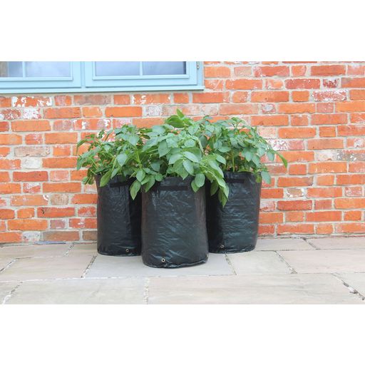 Haxnicks Potato Patio Planters- 3 pc. Set - 3 items