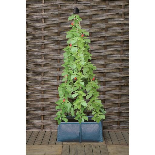 Haxnicks Pea & Bean Patio Planter - 1 item