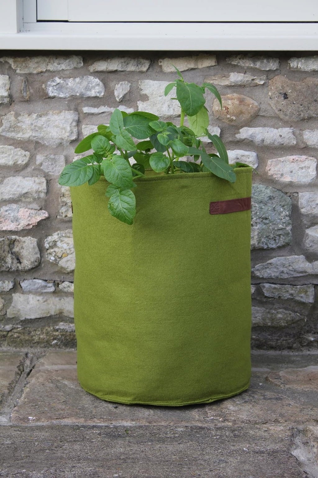 Sac de Plantation pour Pommes de Terre et Tomates Vigoroot - 1 pcs