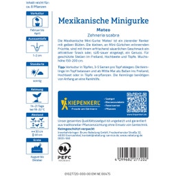Kiepenkerl Mexikanische Minigurke Mateo